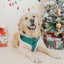 Dog Adjustable Harness - Nice