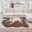 PupRug by Paw.com® Faux Fur Orthopedic Dog Bed - Curve Brown