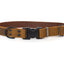 Celtic Sport Quick-Release Leather Dog Collar