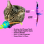 Oral Care Floss & Treat Toothbrush Toy for Cats