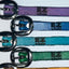 Genuine Leather Puppy Collars (set of 12)
