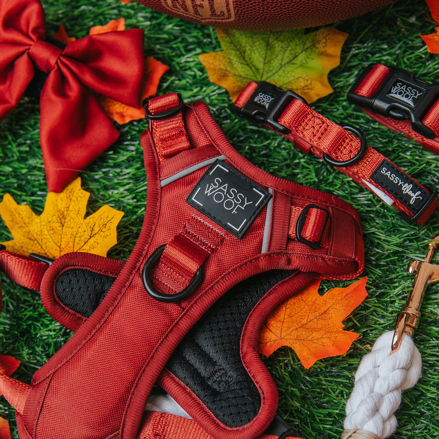 Dog Step-in Harness - Burgundy