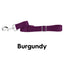 Burgundy Nylon Dog Leash