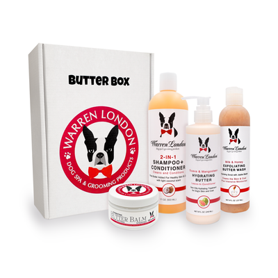 Warren London Dog Butter Box