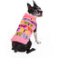 Butterfly Wool Dog Sweater