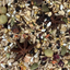 Higgins Versele-Laga Goldenfeast South American Blend for Conures & Cockatiels