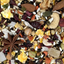 Higgins Versele-Laga Goldenfeast Central American Blend for Conures & Cockatiels