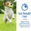 PetArmor Plus Flea & Tick Spot Treatment for Dogs 5-22 lbs
