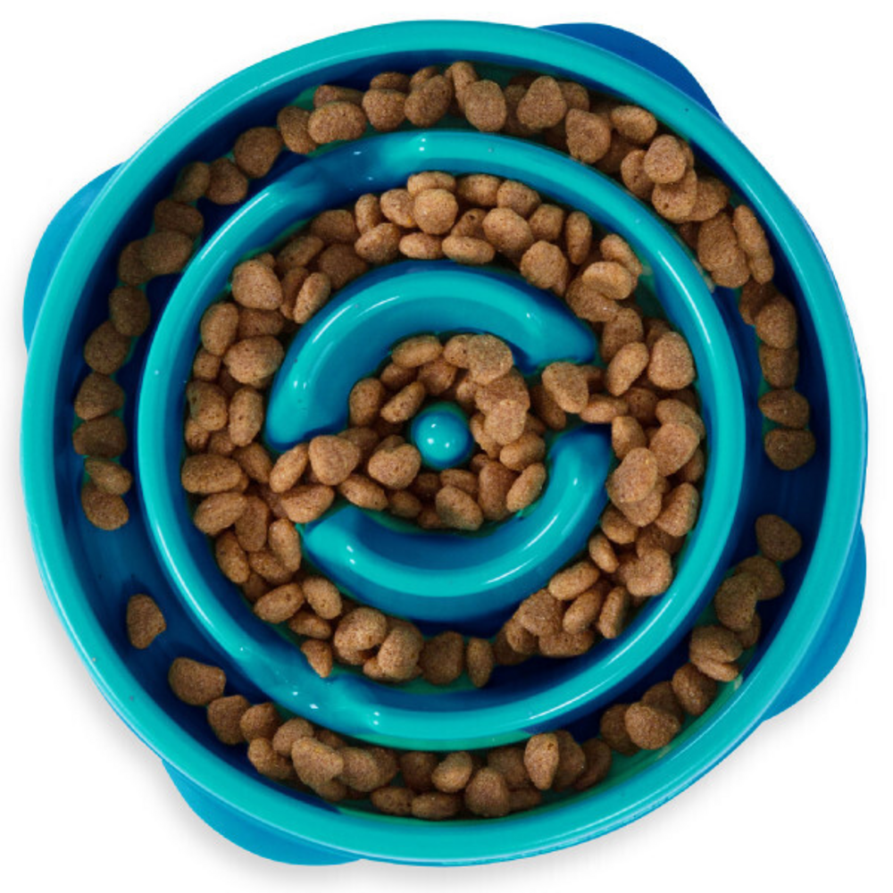 Outward Hound Fun Feeder Turquoise Drop Dog Bowl
