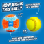 Chuckit! Indoor Ball Dog Toy