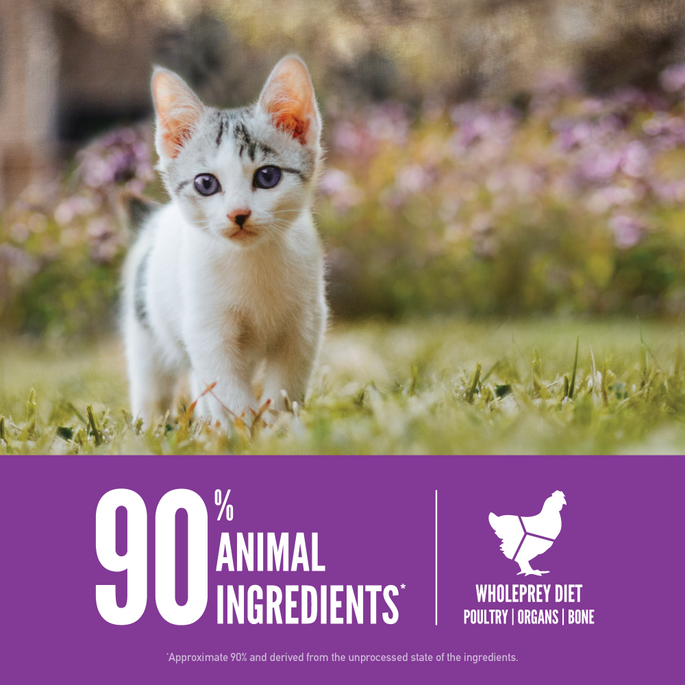 Orijen Grain-Free Kitten Recipe Dry Cat Food