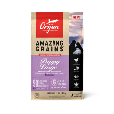 Orijen High Protein Amazing Grains Large Breed Puppy Dry Dog Food