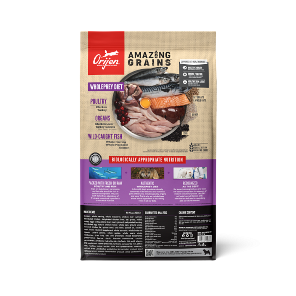 Orijen High Protein Amazing Grains Large Breed Puppy Dry Dog Food