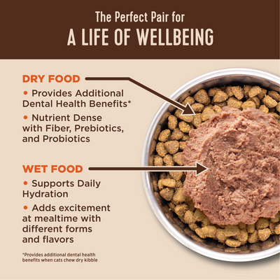 Wellness CORE  Healthy Weight Grain Free Adult Dry Cat Food Chicken & Chicken Meal Recipe