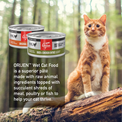 Orijen Premium Pate Variety Pack Wet Cat Food