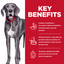 Hill's Science Diet Adult Perfect Digestion Large Breed Chicken, Brown Rice & Whole Oats Recipe Dry Dog Food,