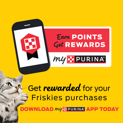 Friskies Cat Food Surfin and Turfin Favorites Dry Cat Food