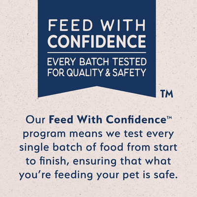 Natural Balance Limited Ingredient Grain Free Dry Cat Food, Salmon & Green Pea Recipe
