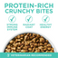 Purina One Sensitive Skin and Stomach Dry Cat Food