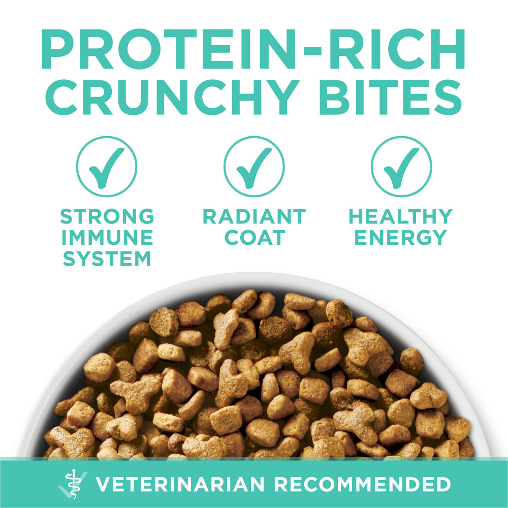 Purina One Sensitive Skin and Stomach Dry Cat Food