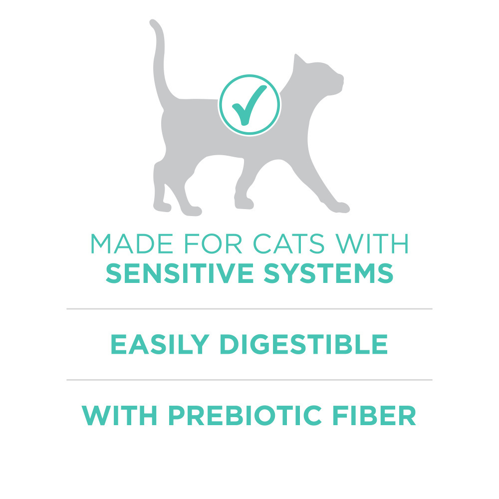 Purina One Sensitive Skin and Stomach Dry Cat Food
