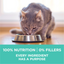 Purina One Sensitive Skin and Stomach Dry Cat Food
