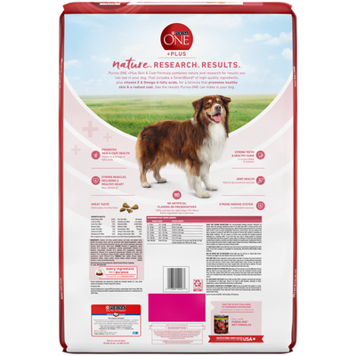 Purina One Plus Skin & Coat Dry Dog Food