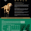 Diamond Premium All Life Stages Dry Dog Food