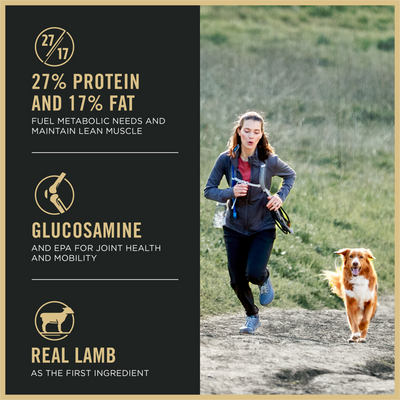 Purina Pro Plan All Life Stages Small Bites 27/17 Lamb and Rice Dry Dog Food