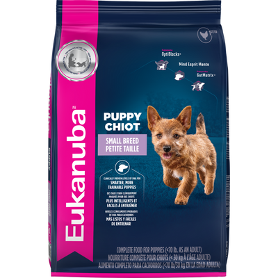 Eukanuba Small Breed Dry Puppy Food