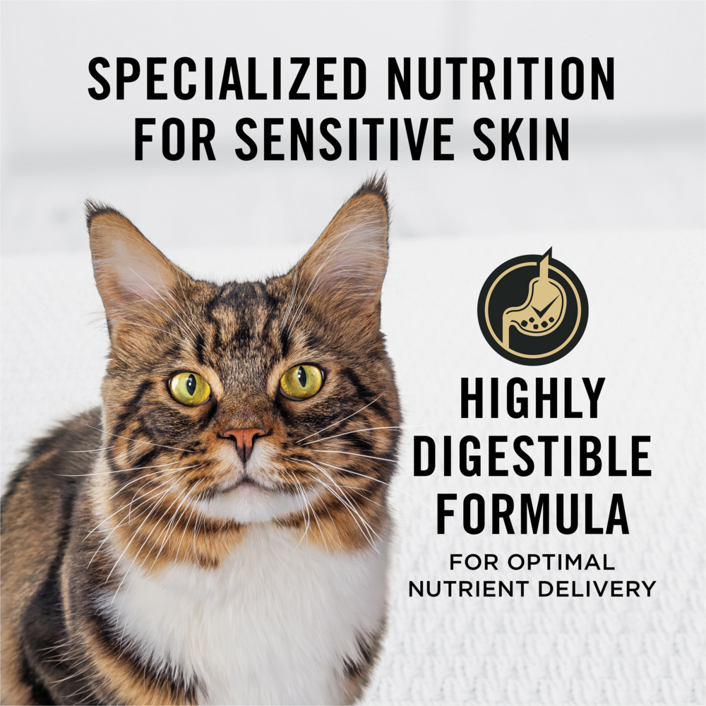 Purina Pro Plan Sensitive Skin & Stomach Turkey and Oatmeal Dry Cat Food
