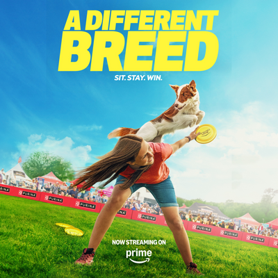 Purina Pro Plan Shredded Blend Weight Management Chicken and Rice Dry Dog Food