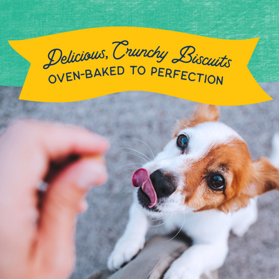 Natural Balance Rewards Crunchy Biscuits Dog Treats for Small Breeds with Real Chicken