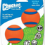 Chuckit! Ultra Ball Dog Toy