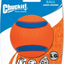 Chuckit! Ultra Ball Dog Toy