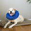 Kong Cloud Inflatable Collar For Dogs
