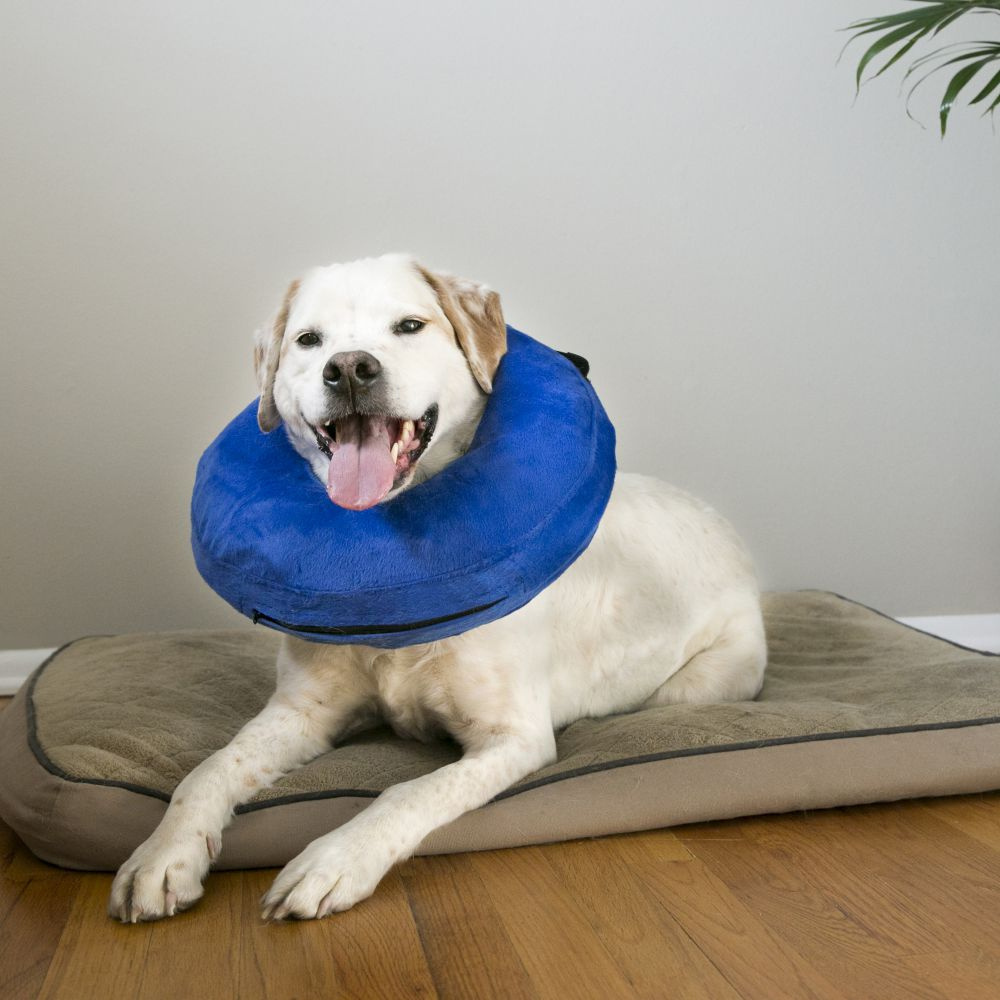 Kong Cloud Inflatable Collar For Dogs
