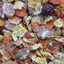 Higgins Sunburst Gourmet Treats Veggie Garden
