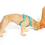 La Tour Eiffel Nose Work Dog Toy / Enrichment Toy