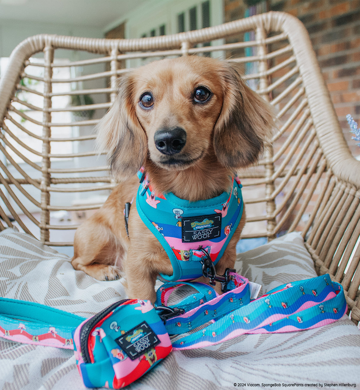 Dog Adjustable Harness - SpongeBob SquarePants™ and Friends