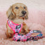 Dog Adjustable Harness - Looney Tunes™ Pink