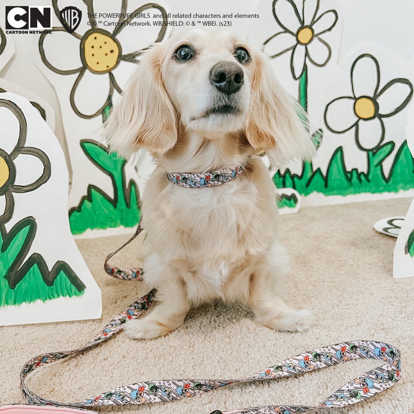Dog Leash - The Powerpuff Girls™ (Pink)