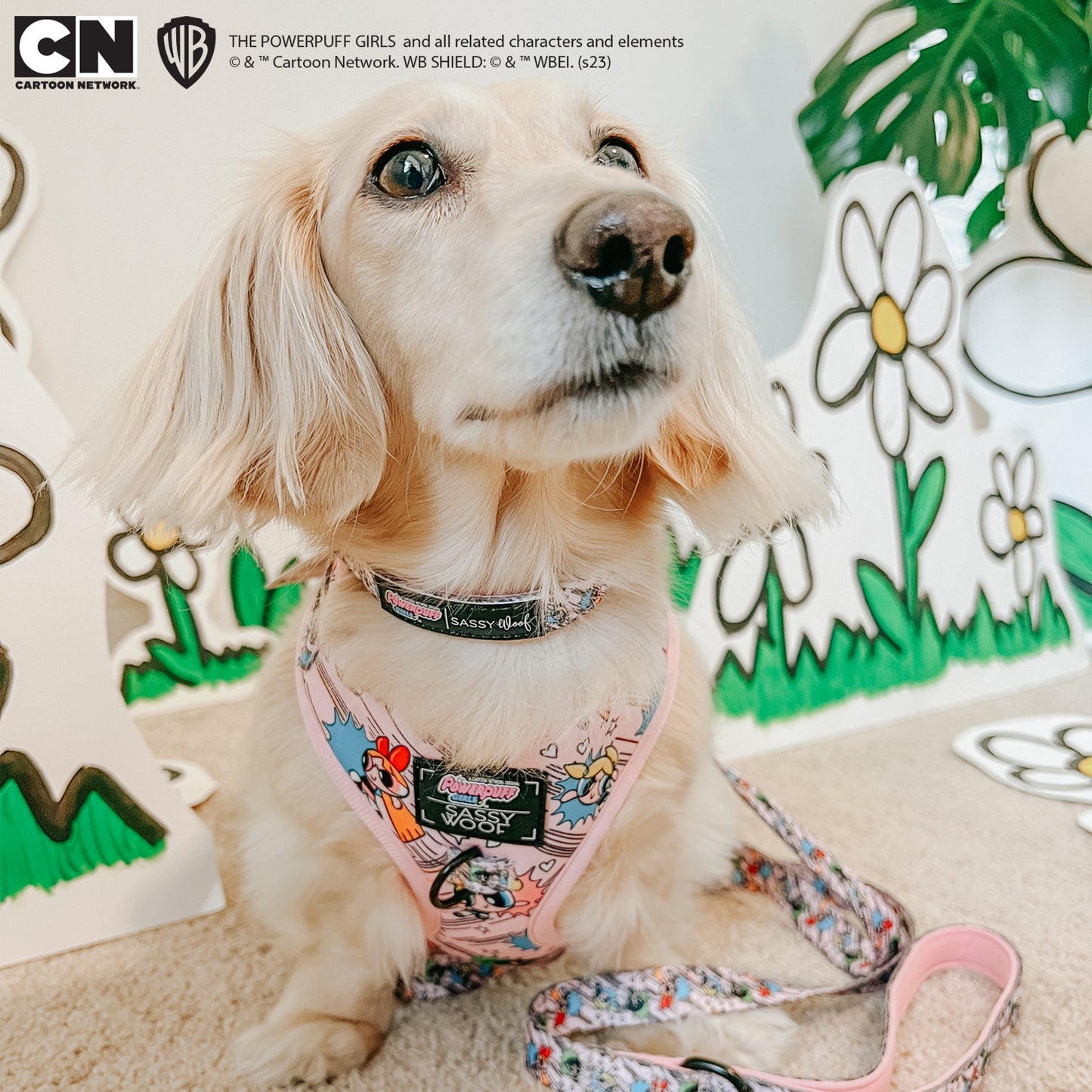Dog Collar - The Powerpuff Girls™ (Pink)