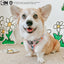 Dog Adjustable Harness - The Powerpuff Girls™ (Pink)
