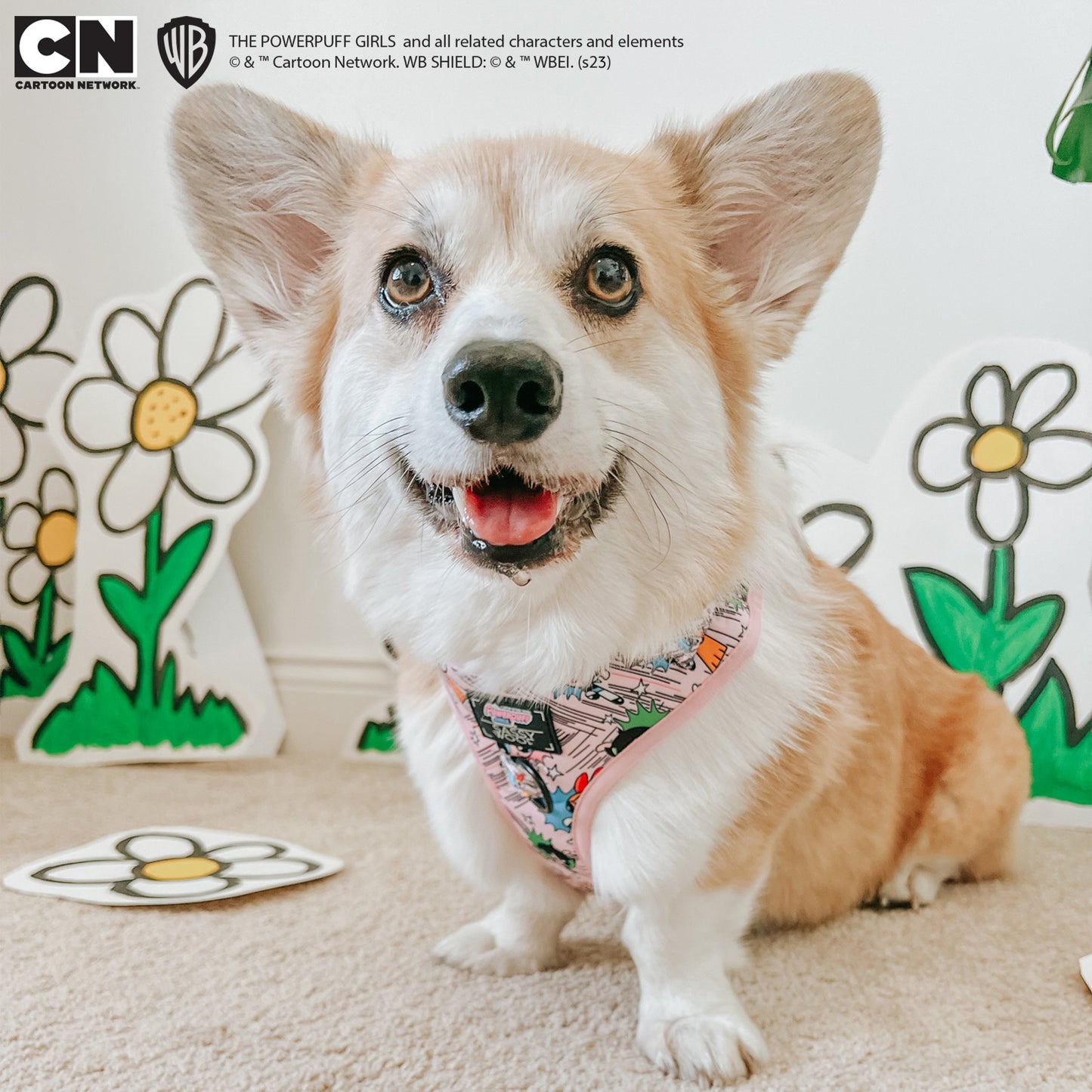 Dog Adjustable Harness - The Powerpuff Girls™ (Pink)