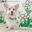 Dog Collar - The Powerpuff Girls™ (Green)