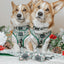 Dog Collar - Under the Mistletoe