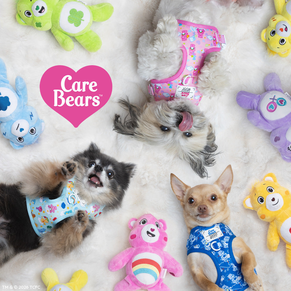 Dog Adjustable Harness - Care Bears™ Grumpy Bear