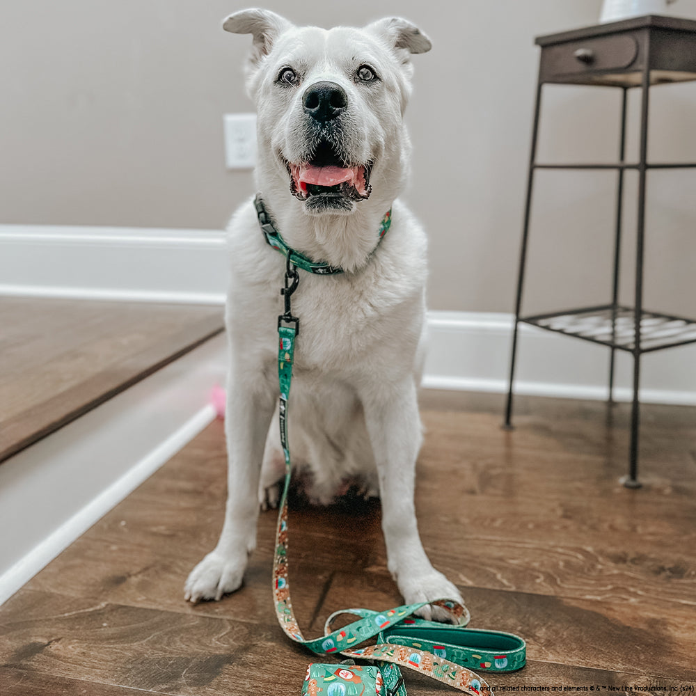 Dog Collar - Elf™