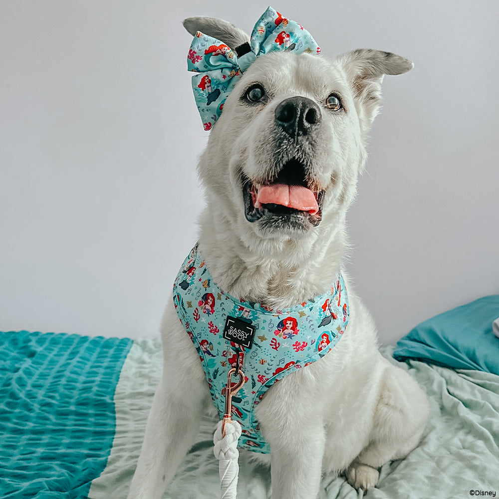 Dog Adjustable Harness - Disney's Ariel